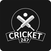 Cricket 247